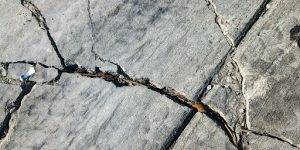 Managing and Mitigating Root Encroachment