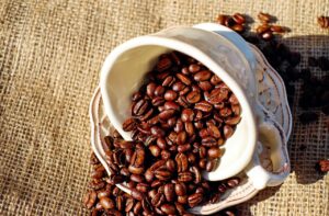 Kentucky Coffee Tree benefits and drawbacks