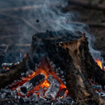 can burning a stump cause a root fire
